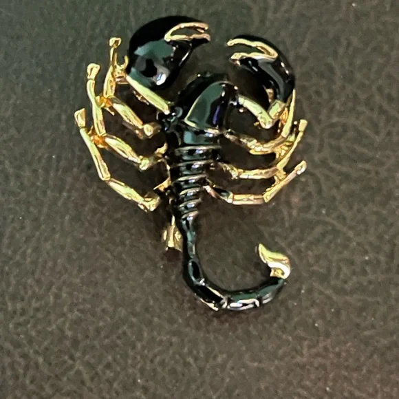 Beautiful SCORPION Brooch❣️ - Picture 5 of 5